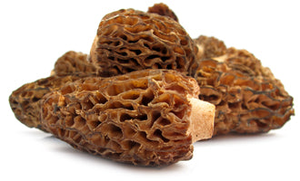 HONGO MORILLA 20 G (REENVASADO)