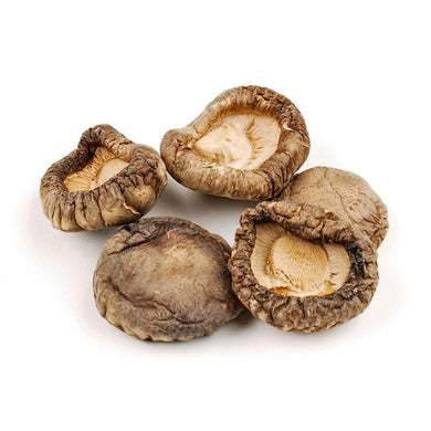 SHIITAKE 100 GRS (REENVASADO)